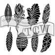 TCW389 Fancy Feathers For Sale