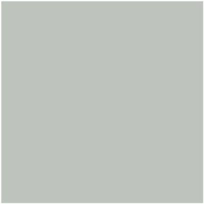 AF-490 Tranquillity by Benjamin Moore For Discount