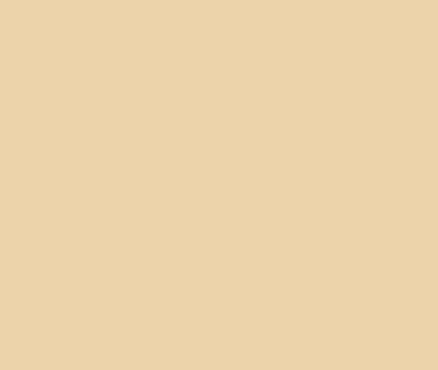 AF-335 Safari by Benjamin Moore Discount