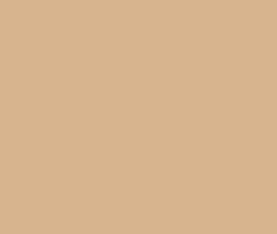 CSP-1065 Natural Leather by Benjamin Moore Online now