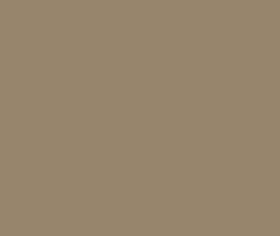 CSP-1045 Wet Clay by Benjamin Moore Online now