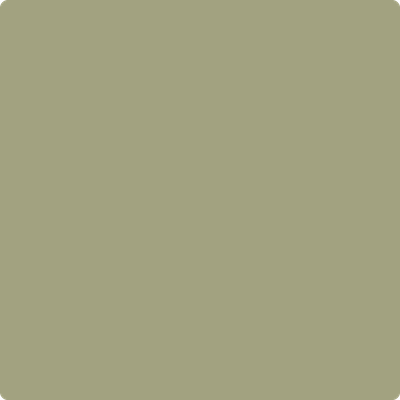 AF-405 Thicket by Benjamin Moore Discount