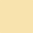 170 Traditional Yellow by Benjamin Moore Cheap