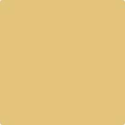 HC-11 Marblehead Gold by Benjamin Moore Fashion