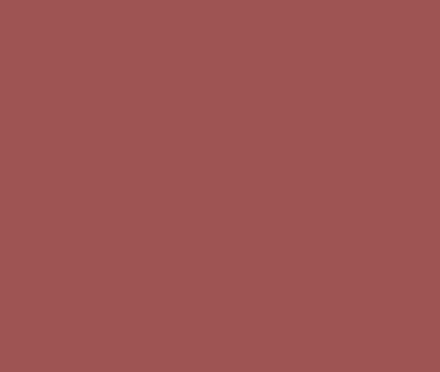 2005-30 Bricktone Red by Benjamin Moore Online