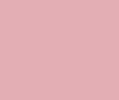 2005-50 Pink Eraser by Benjamin Moore Cheap