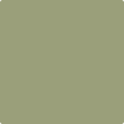 AF-445 Aventurine by Benjamin Moore For Discount