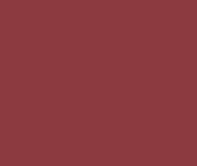 AF-295 Pomegranate by Benjamin Moore Cheap