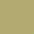 AF-420 Agave by Benjamin Moore Fashion