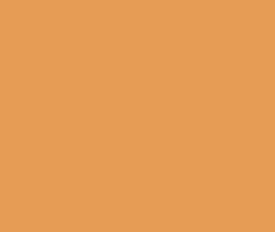 161 Brilliant Amber by Benjamin Moore Online