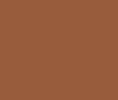 AF-235 Cognac by Benjamin Moore Online Hot Sale