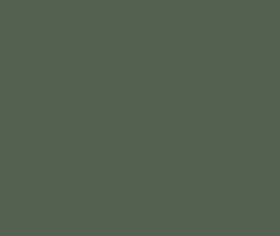 AF-480 Boreal Forest by Benjamin Moore Hot on Sale