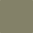 HC-112 Tate Olive by Benjamin Moore Online Sale