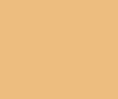 166 Orange Ice by Benjamin Moore Online